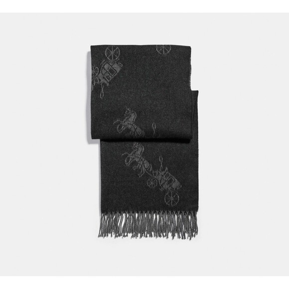 Coach Oversized Horse And Carriage Muffler Scarf Black & Grey NWT MRSP$179 - Picture 1 of 7